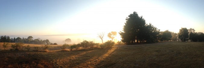 Top reasons to live on a hobby farm