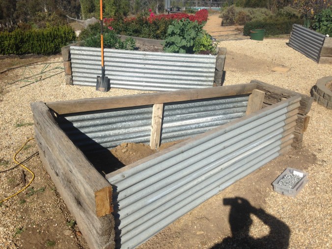 How to build a wicking garden bed.