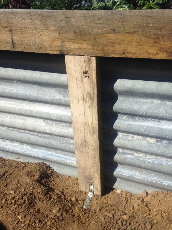 How to build a wicking garden bed.