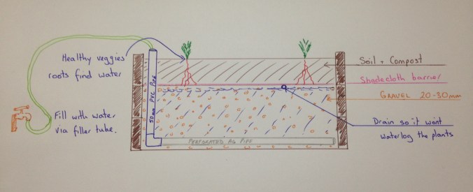 How to build a wicking garden bed. 