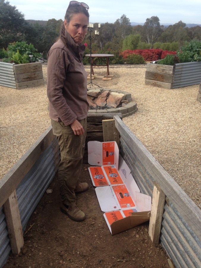 How to build a wicking garden bed