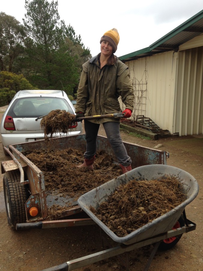 How to build a wicking bed