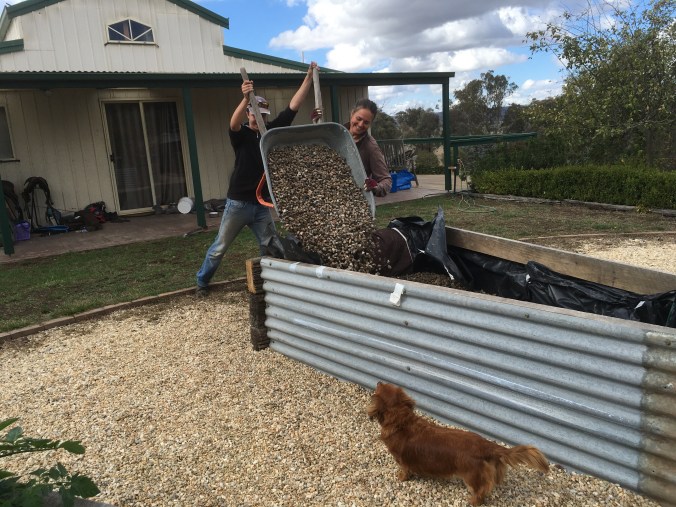 How to build a wicking garden bed