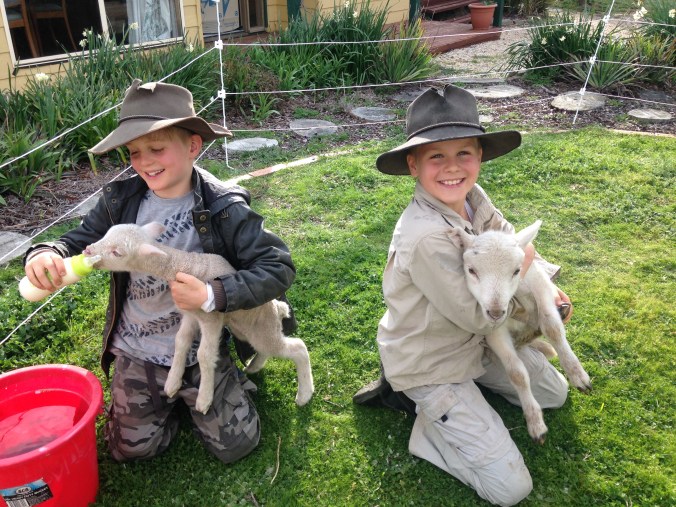 Top reasons to live on a hobby farm