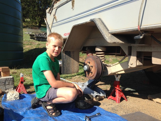 Best reasons for living on a hobby farm