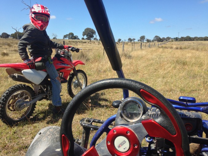 Top reasons to live on a hobby farm