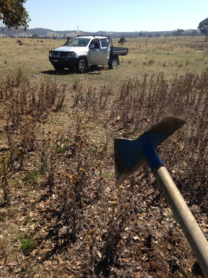 drawbacks of owning a hobby farm