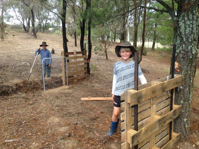 Top reasons to live on a hobby farm