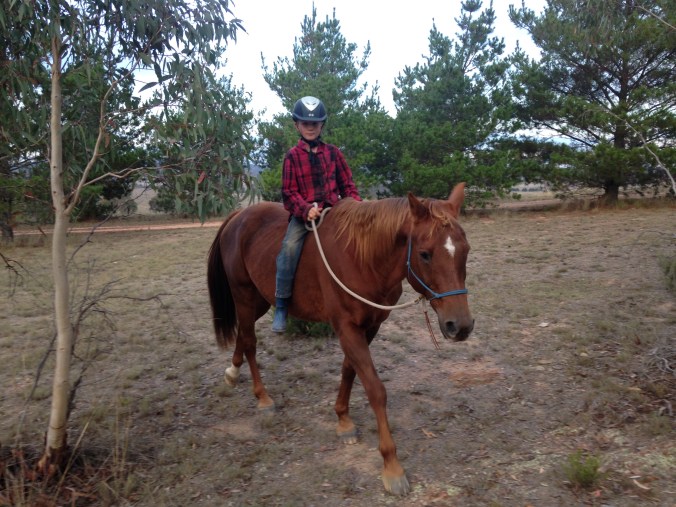 Top reasons for living on a hobby farm