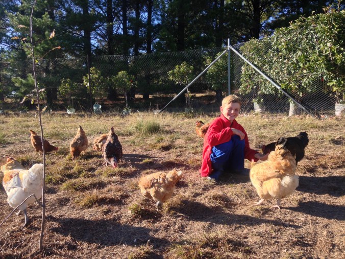 Top reasons to live on a hobby farm