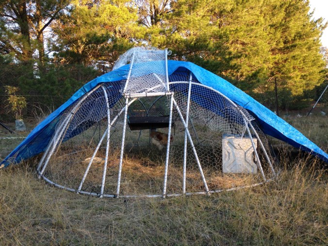 How to make a lightweight chook tractor