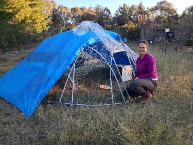 How to make a lightweight chook tractor