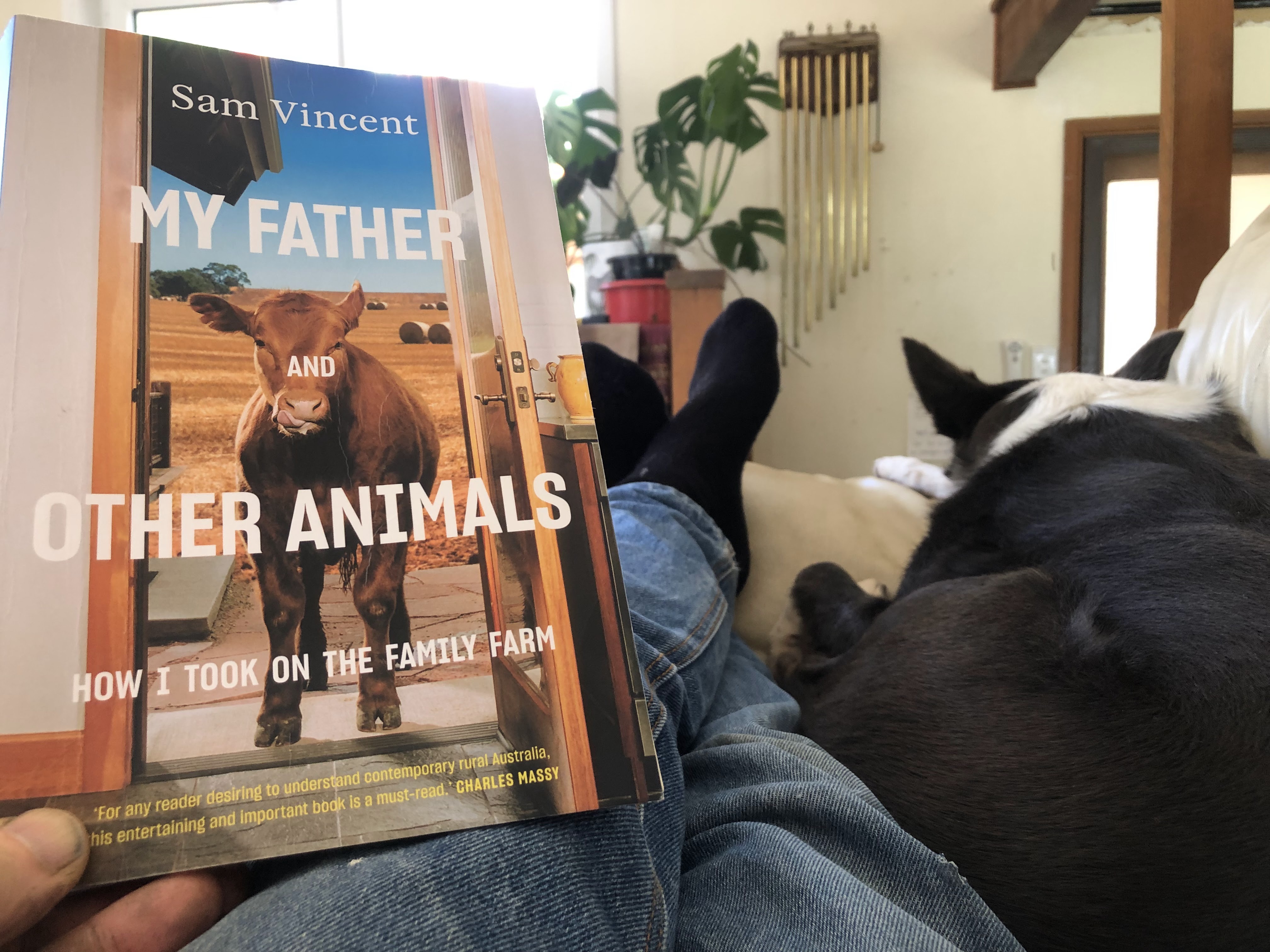 Sam Vincent
MY FATHER
AND
OTHER ANIMALS
HOW I TOOK ON THE FAMILY FARM
For any reader desiring to understand contemporary rural Australia, his entertaining and important book is a must-read. CHARLES MASSY